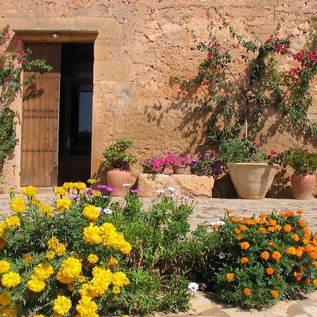 Finca Sa Cova Vella Manacor  Zewnętrze zdjęcie