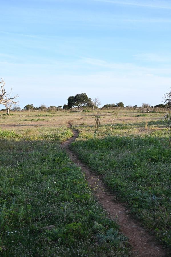 Finca Sa Cova Vella Manacor  Zewnętrze zdjęcie