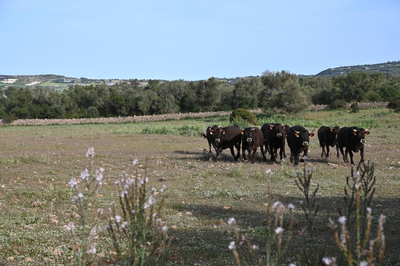 Finca Sa Cova Vella Manacor  Zewnętrze zdjęcie