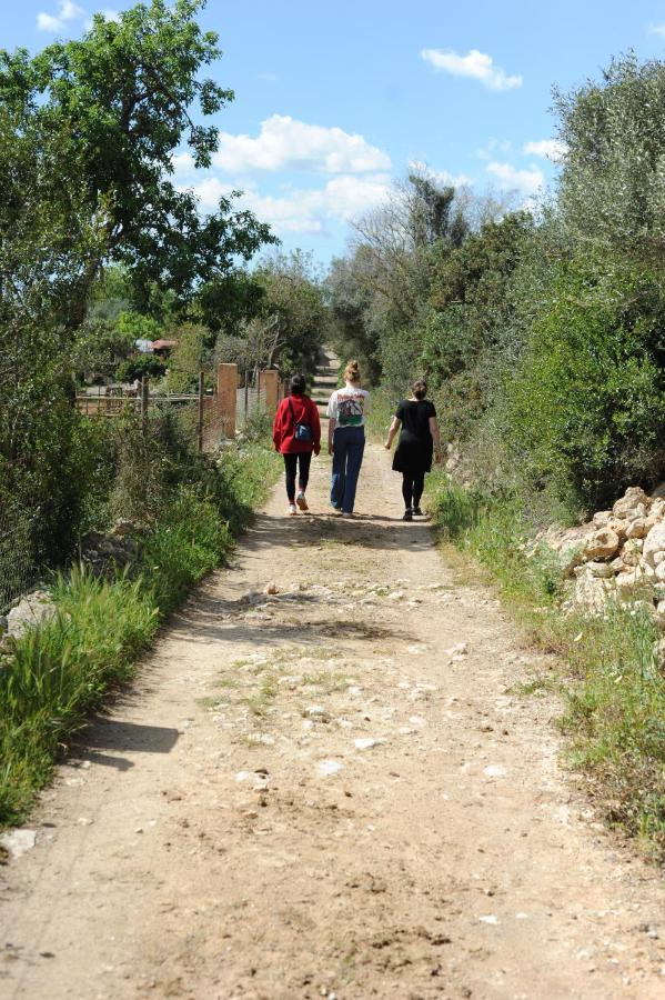 Finca Sa Cova Vella Manacor  Zewnętrze zdjęcie