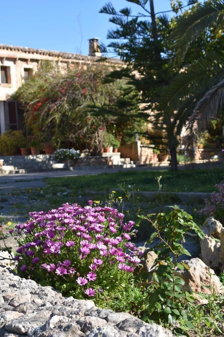 Finca Sa Cova Vella Manacor  Zewnętrze zdjęcie