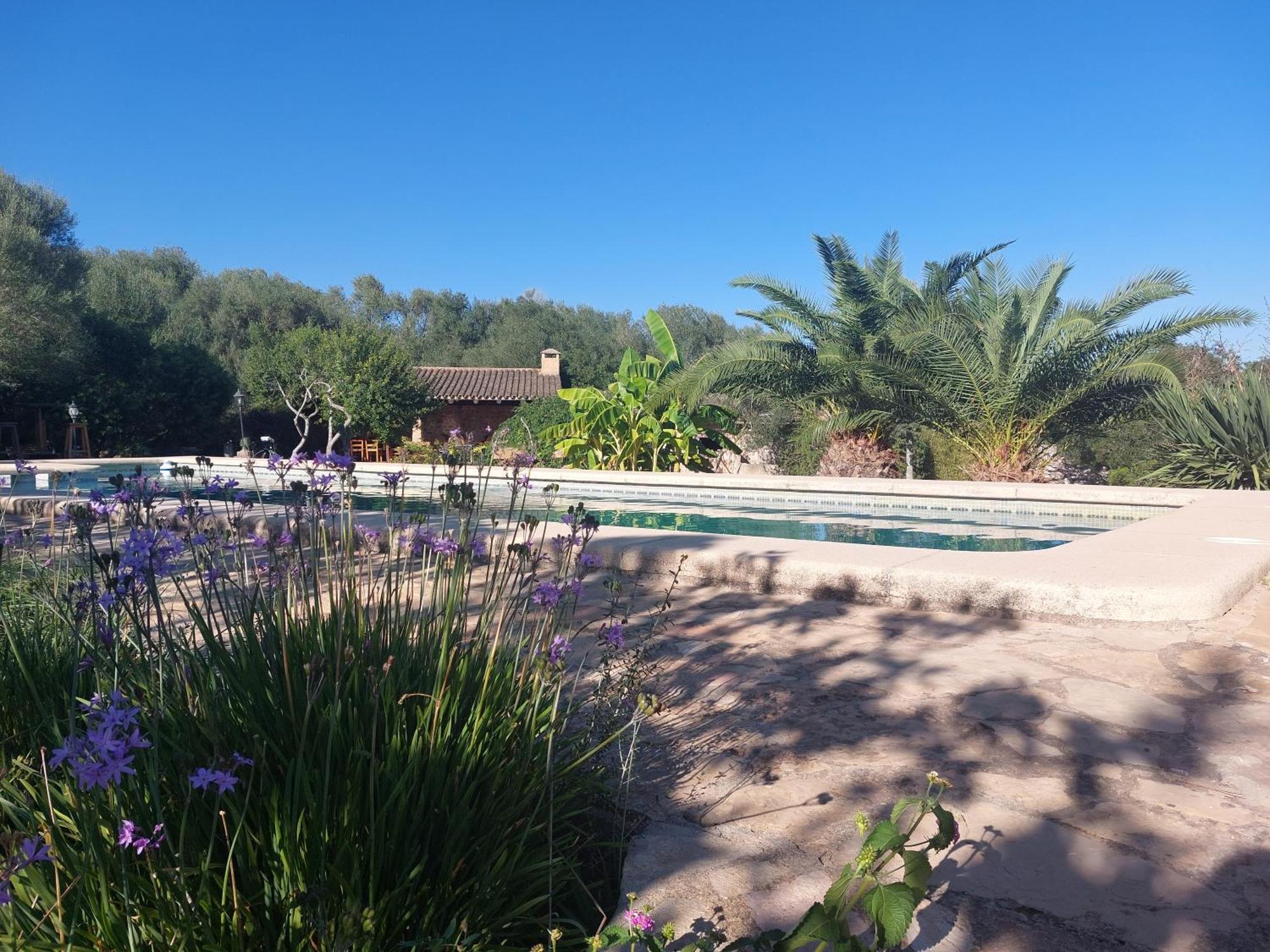Finca Sa Cova Vella Manacor  Zewnętrze zdjęcie
