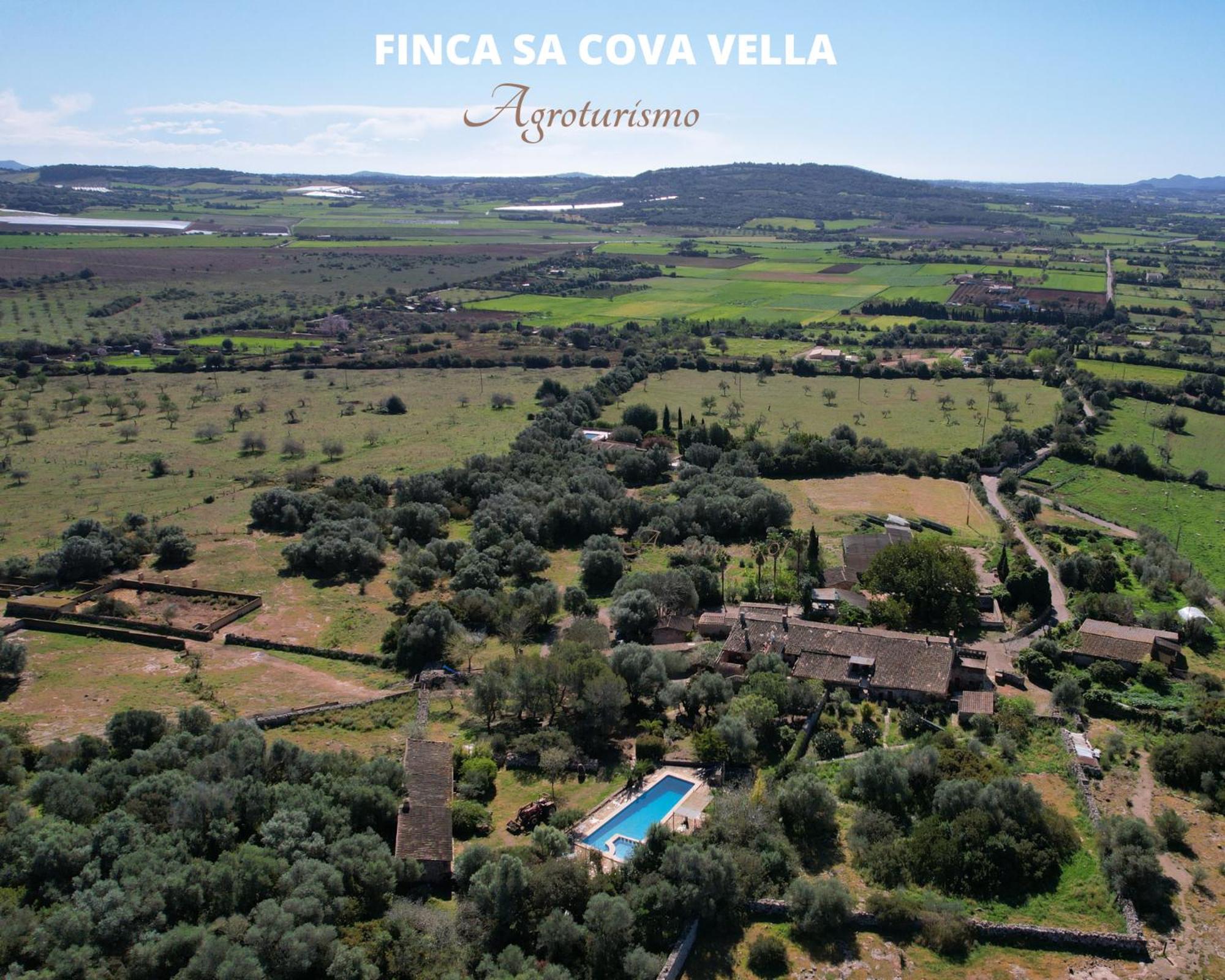 Finca Sa Cova Vella Manacor  Zewnętrze zdjęcie